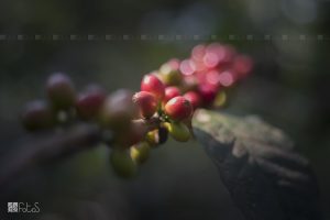 IMG_1472-Recovered
